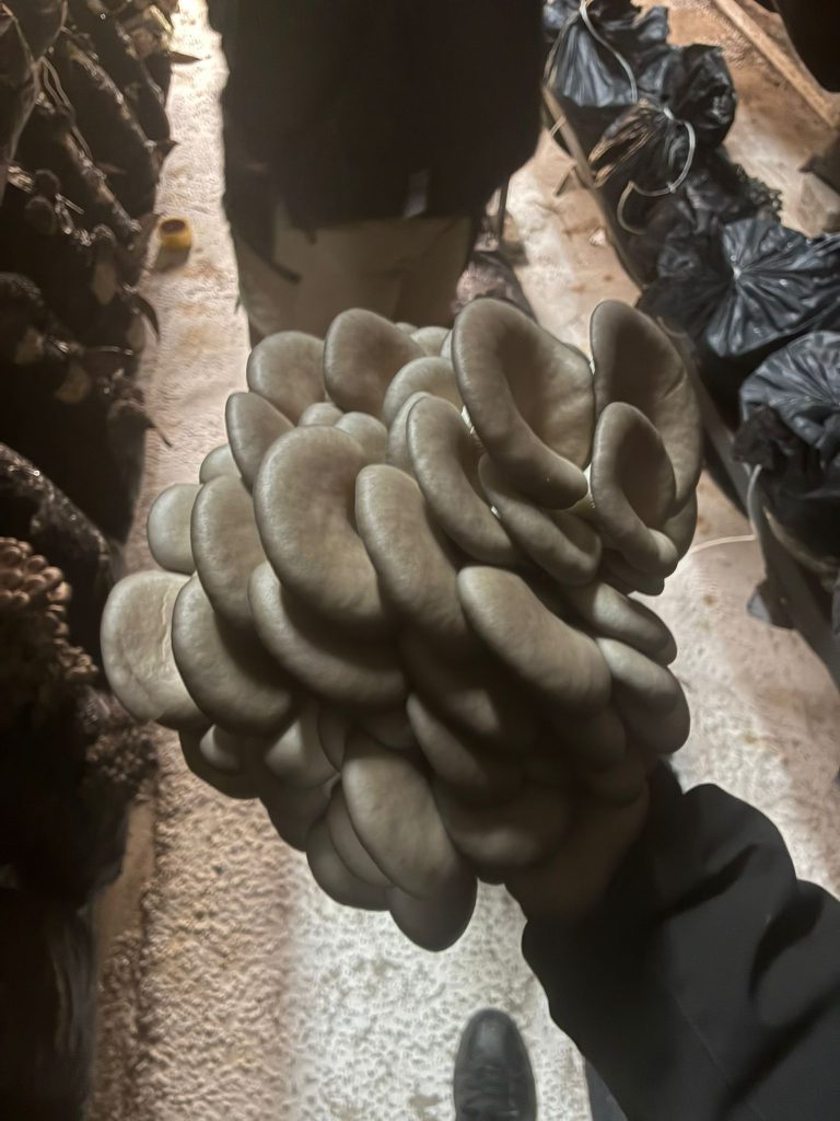 whatsapp görsel 2025 10 25 saat 12.34.29 30e39a80