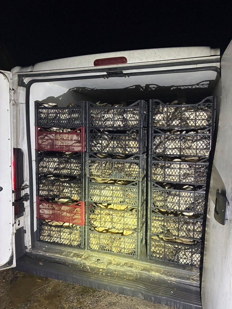 whatsapp görsel 2025 10 25 saat 12.34.38 39e10c37