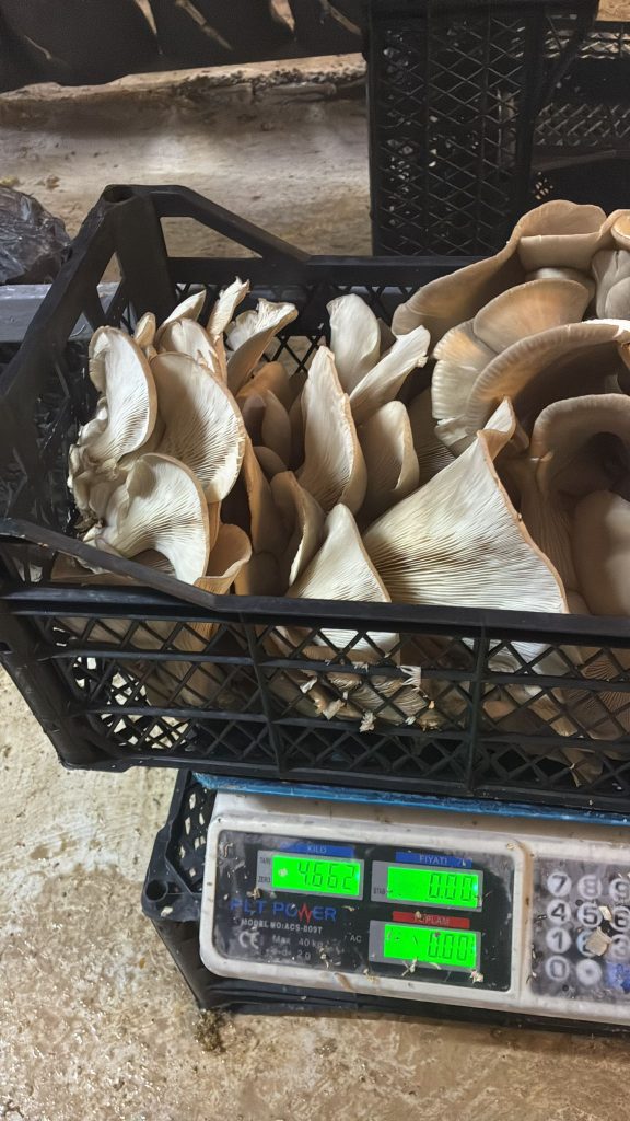 whatsapp görsel 2025 10 25 saat 12.34.44 64881982